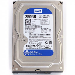HDD HD HARD DISK 3,5" SATA RPM 7200 250GB WESTERN DIGITAL USATO