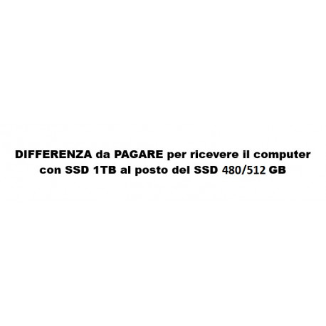 DIFFERENZA da PAGARE per ricevere il computer con SSD 1TB al posto del SSD 480/512GB