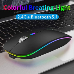 Mouse Senza Fili Bluetooth, Bluetooth 5.1 + 2.4G Wireless Ricaricabile